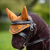 LeMieux Toy Pony Fly Hood