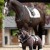 LeMieux Toy Pony Valegro